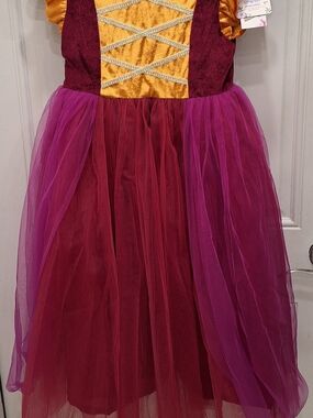 Girls Burgundy and Gold Princess Tulle Costume Dress